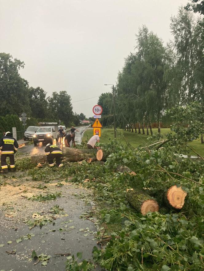 Potężna nawałnica przeszła przez woj. lubelskie. Straty są ogromne, jedna osoba jest ranna [ZDJĘCIA]