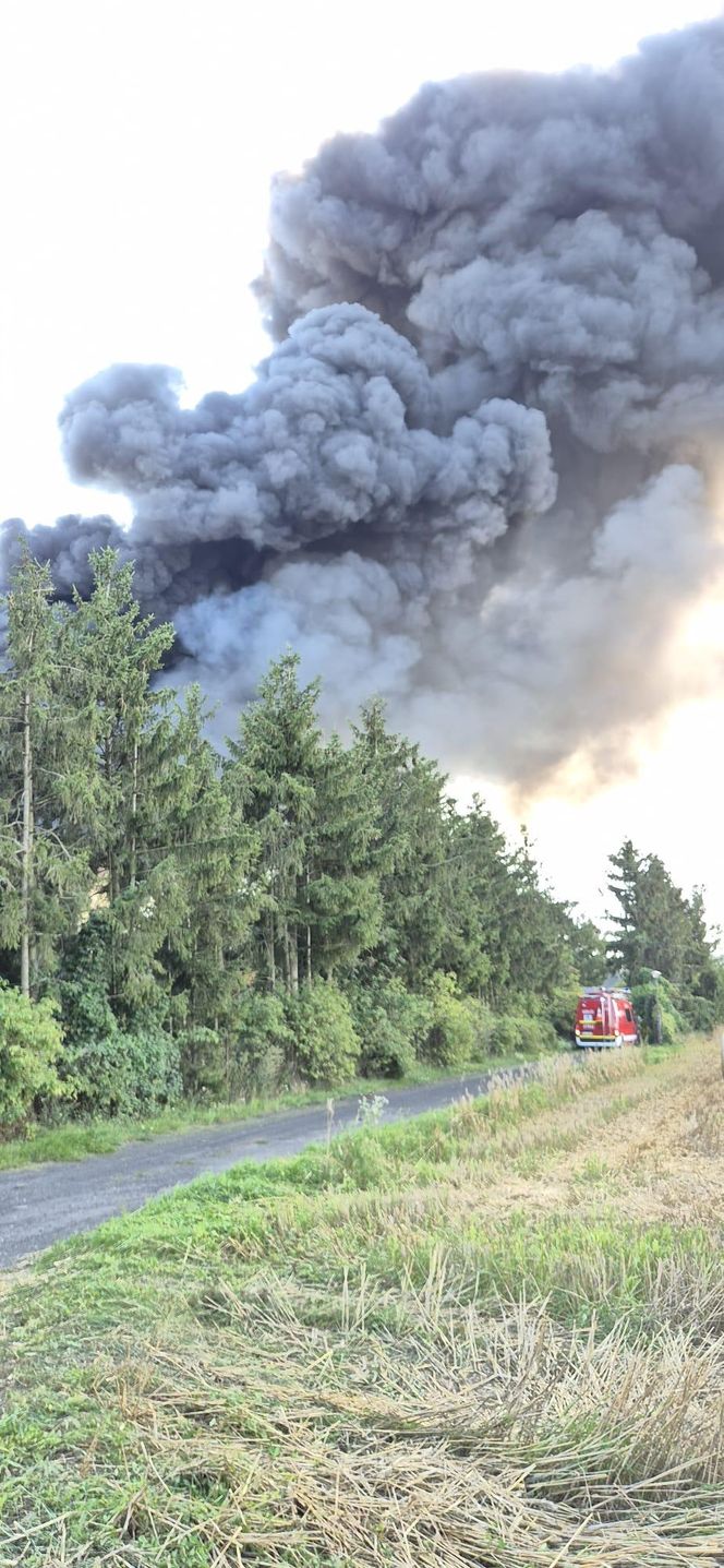 Pożar hal produkyjnych w Siarzewie