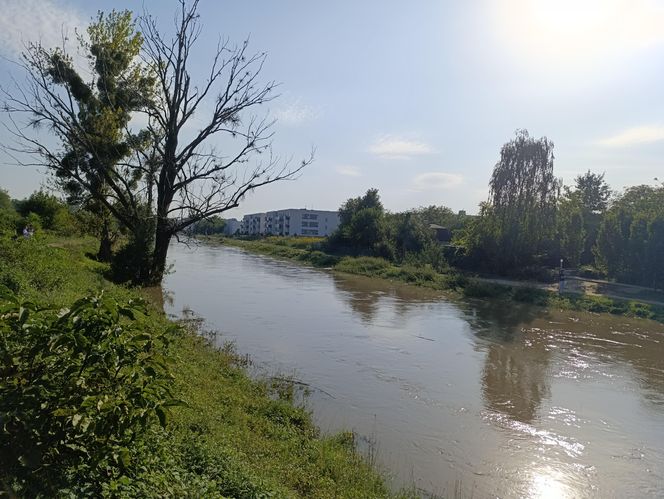 Stan rzeki Ślęza cały czas się podnosi. Przekroczono już stan alarmowy. Jak wygląda sytuacja?