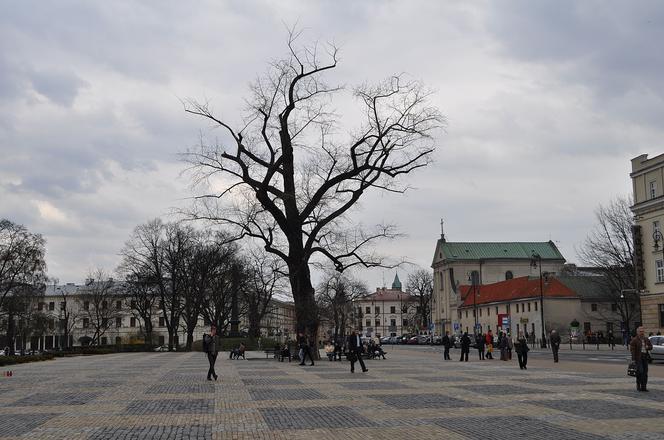 Grające fontanny na pl. Litewskim