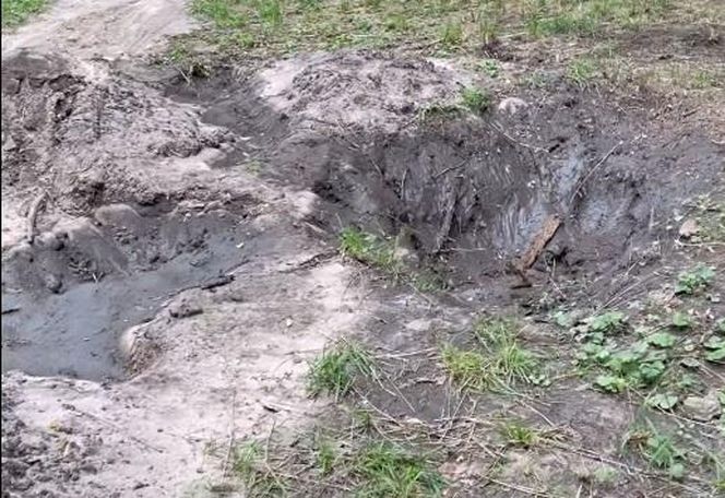 Urządzili sobie tor przeszkód w zabytkowym parku