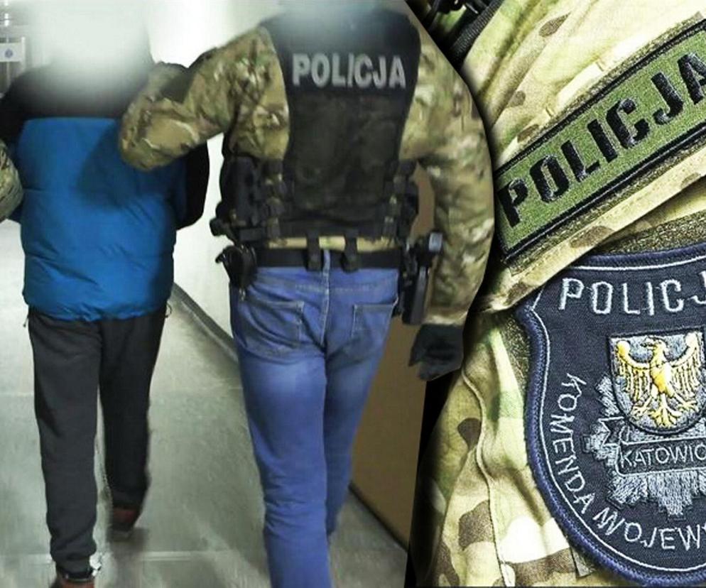 Horror na Śląsku! 33-letni Bułgar zmuszał nastolatki do prostytucji. Zamykał w pokoju, nie dawał jeść