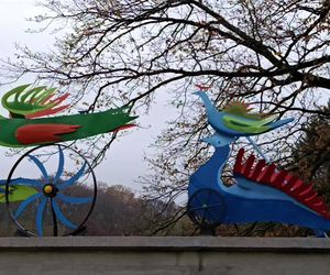 Ogniste Ptaki w Parku Kasprowicza w Szczecinie