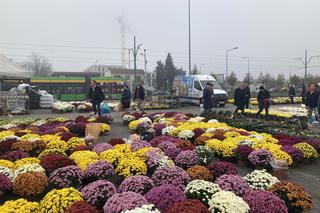 Wszystkich Świętych 2022 Poznań 