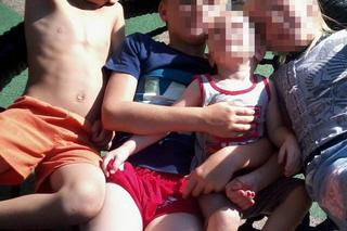  Brutalne morderstwo w Płocku. 42-letni Radosław zabił troje dzieci. Jest opinia biegłych w sprawie mężczyzny