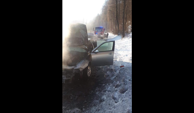 Okolice Nowego Sącza: AUTO PŁONĘŁO na drodze, a DZIECI siedziały w środku! 