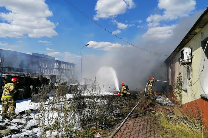Specjalna komisja zbada co było przyczyną pożaru składowiska w Kutnie!