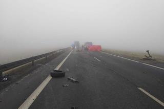 Śmiertelny wypadek na S22. Droga jest zablokowana! [ZDJĘCIA]