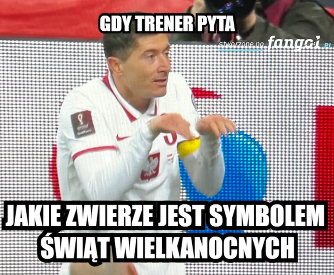 MEMY po meczu Polska - Szwecja