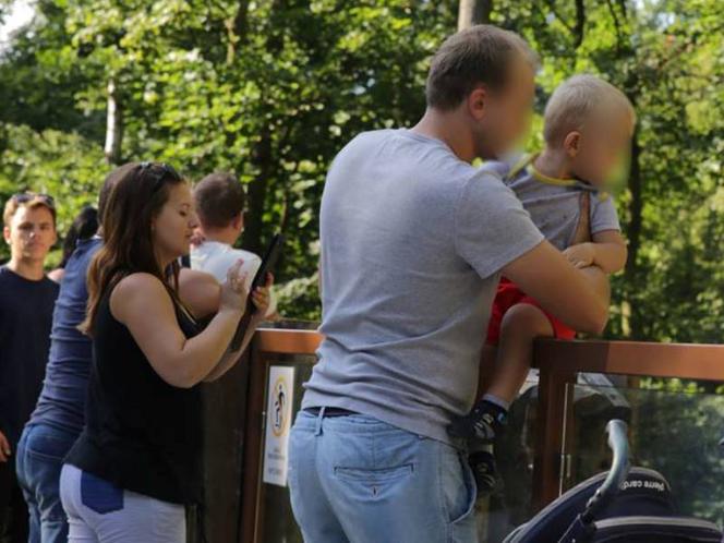 Stawianie dzieci na ogrodzeniu wybiegu dla zwierząt jest zabronione i niebezpieczne.