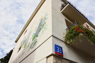 Agnieszka Osiecka mural ul. Francuska 33 w Warszawie