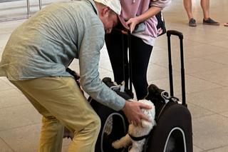 Żona wróciła do Adamczyka