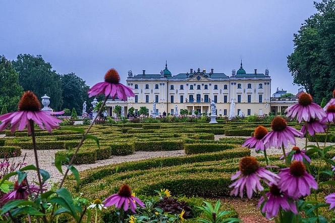 Pałac Branickich w Białymstoku - zobacz zdjęcia rezydencji o przepięknych wnętrzach