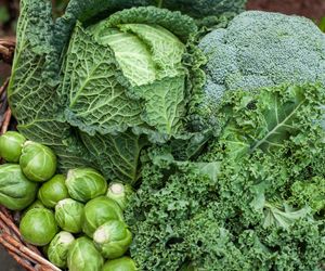 Niezwykła moc warzyw kapustnych. Cztery porcje dziennie skutecznie obniżają ciśnienie