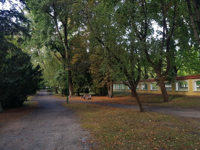 Wybraliśmy się na pierwszy jesienny spacer po Białymstoku. Te kadry robią wrażenie! [ZDJĘCIA]