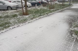 Pierwszy śnieg spadł w Poznaniu! Utrudnienia na drogach w regionie