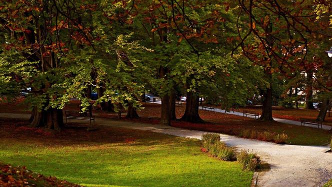 Świeradów-Zdrój to najlepsza miejscowość jesienią według AI