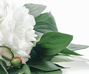 Magiczne życzenia imieninowe dla Sylwii. Tymi słowami wyrazisz wszystkie swoje uczucia