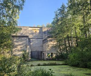 Monumentalna śluza Leśniewo z symbolami III Rzeszy ukryta w mazurskim lesie. Jest owiana tajemnicą [ZDJĘCIA]