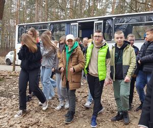 Posadzili kawałek lasu w miejscu wyciętego