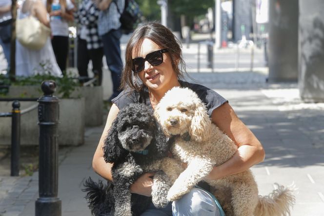 Te psy skradły serca gwiazd! 