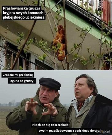 Krakowski lagun to prawdziwy FENOMEN! [MEMY]