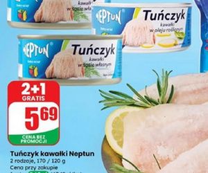 Nowe promocje w Dino