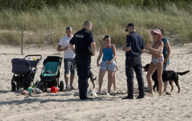 Niemieckie rottweilery POGRYZŁY polskiego chłopca na plaży w Świnoujściu