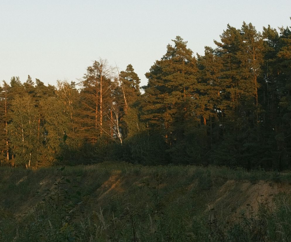 Wyjątkowa atrakcja turystyczna niedaleko małej wsi w woj. lubelskim
