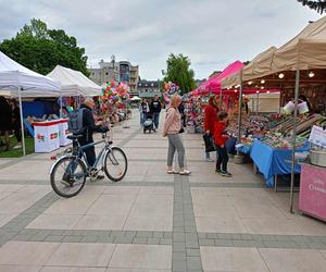 Stoiska wystawców podczas Jarmarku św. Stanisława można odwiedzać w godz. 10.00-18.00 w dn. 10 i 11 maja