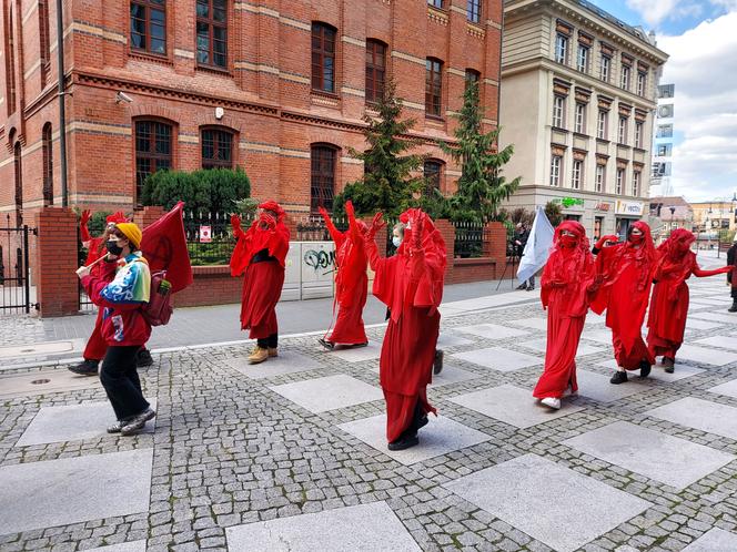 PRZERAŻAJĄCA manifestacja w centrum miasta! Milczący protest przypomniał o masowym wymieraniu [ZDJĘCIA]