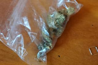 16-latek wypiekał ciastka z marihuaną