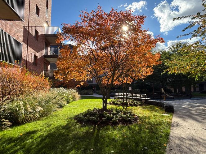 Osiedle Riverview w Gdańsku