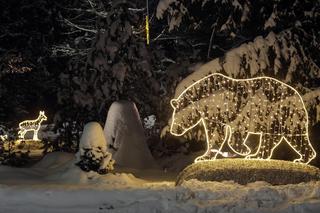 Świąteczne iluminacje w Zakopanem