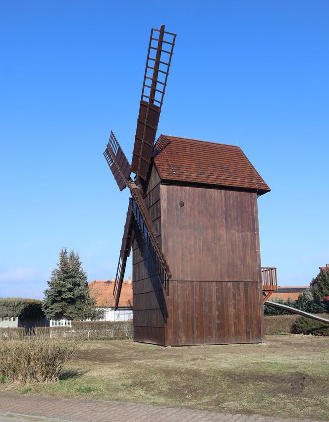 Wiatrak-koźlak w Koźminie Wielkopolskim