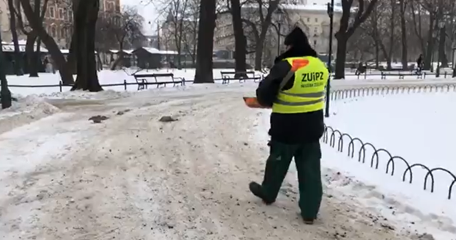 Fusy z kawy już są na krakowskich chodnikach! Czy to bezpieczne działanie? [WIDEO, ZDJĘCIA]