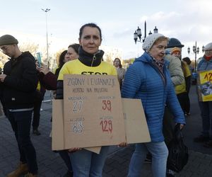 Wielki protest przez ratuszem. Wolontariusze walczą o życie kotów