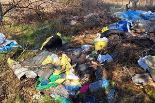 Tona śmieci na działkach pod Gorzowem. Burza w sieci