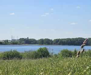 Było, zniknęło i... powróciło. Zobacz magiczne jezioro Track na obrzeżach Olsztyna [ZDJĘCIA]