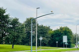 Montaż kamer systemu Red Light na Rondzie Solidarności w Nowym Sączu