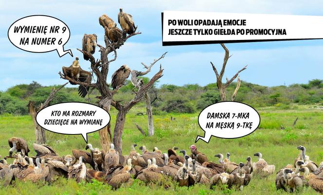 Promocja w Lidlu