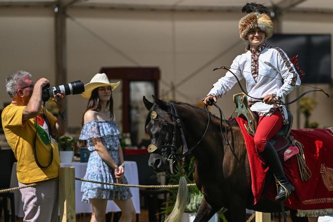 Prawie 640 tys. euro za konie na aukcji Pride of Poland