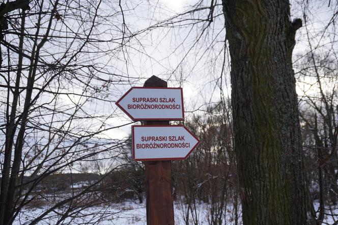 Idealne miejsce na zimowy wypoczynek na Podlasiu. To uzdrowisko robi furorę! Przyjeżdżają nawet Niemcy