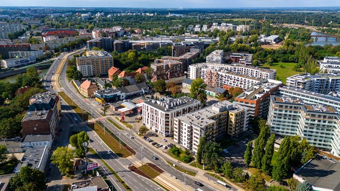 Kępa Mieszczańska we Wrocławiu - widok z drona