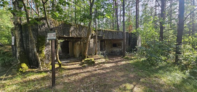 Odwiedziłam jeden z piękniejszych powiatów na Mazurach. To prawdziwy „szlak bunkrowy”
