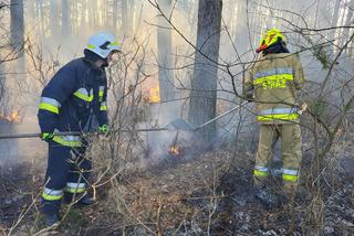 Podpalacze się uaktywnili. Płoną trawy w całym województwie śląskim