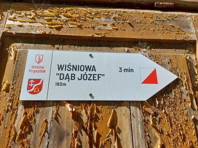 Zespół parkowo - dworski i folwarczny w Wiśniowej [ZDJĘCIA]