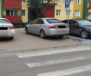 „Mistrzowie” parkowania pod lupą. Policja prowadzi działania pod nazwą „Zakaz”. Zdjęcia