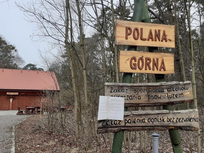 Drzewka i rekreacja na Barbarce