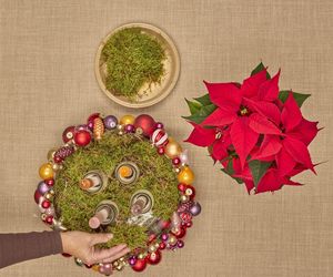 Adwentowa aranżacja z gwiazdą betlejemską